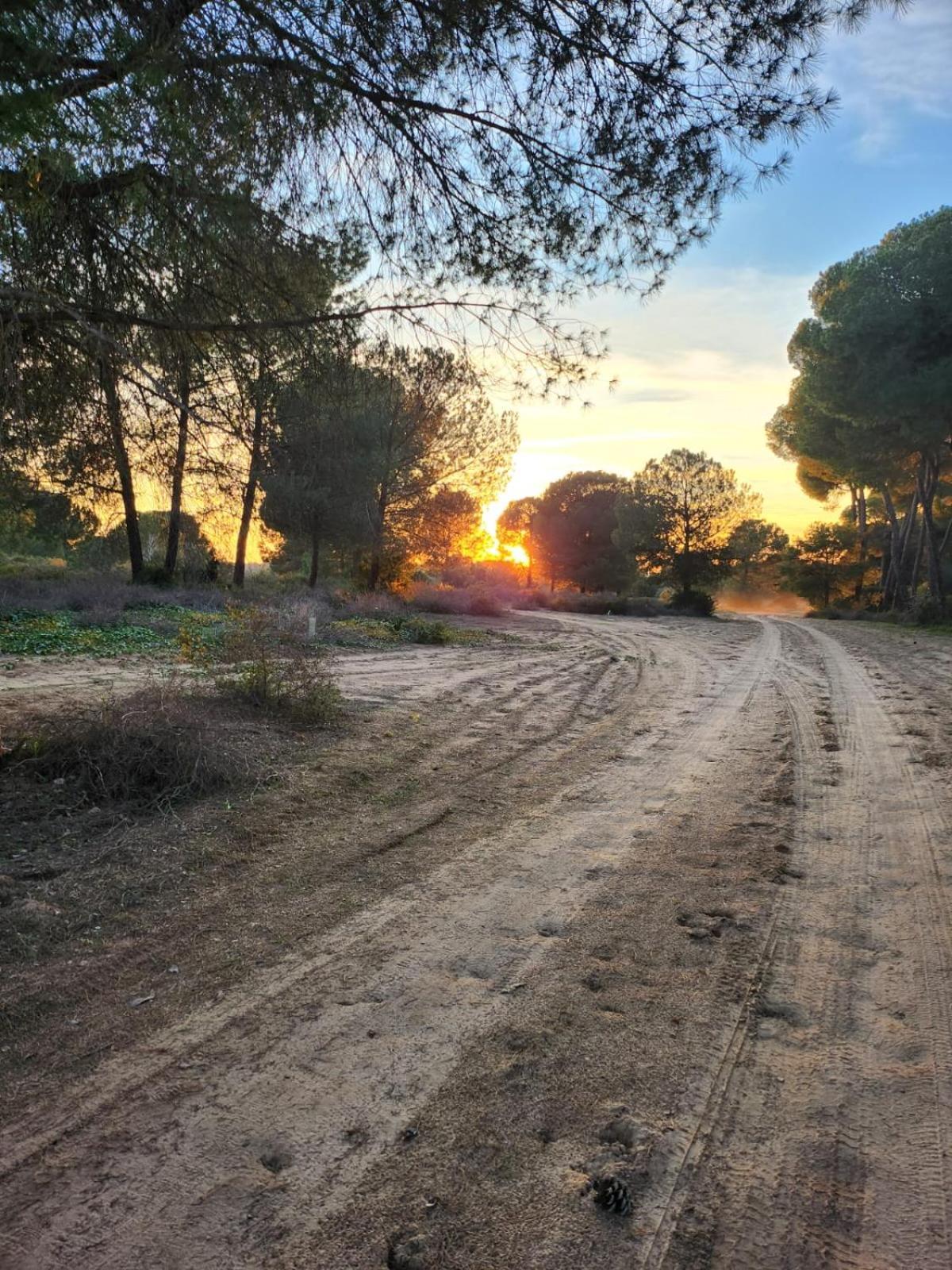 Affittacamere Hacienda Olontigi Aznalcázar Esterno foto