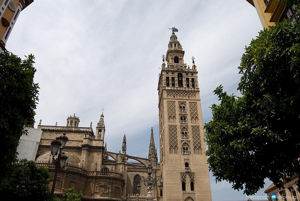 Hacienda Olontigi Affittacamere Aznalcázar Esterno foto